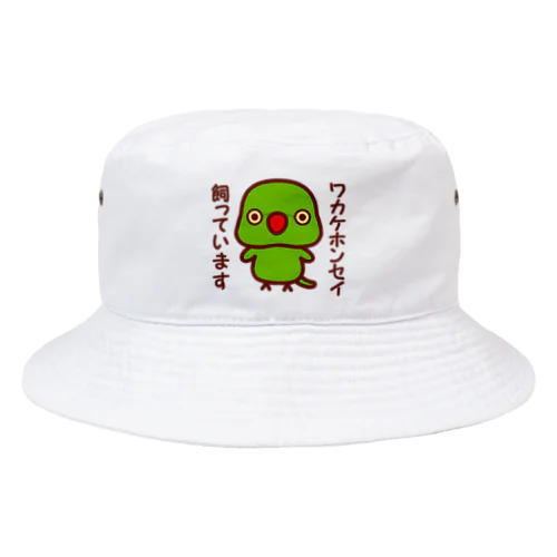 ワカケホンセイインコ飼っています（ノーマル/メス） Bucket Hat