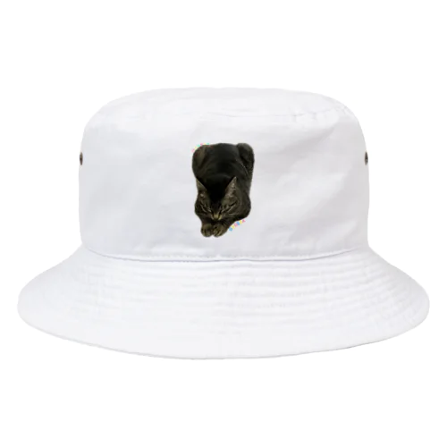 DOGEZA Bucket Hat