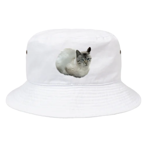 ワイの婆ちゃん家のネッコ Bucket Hat