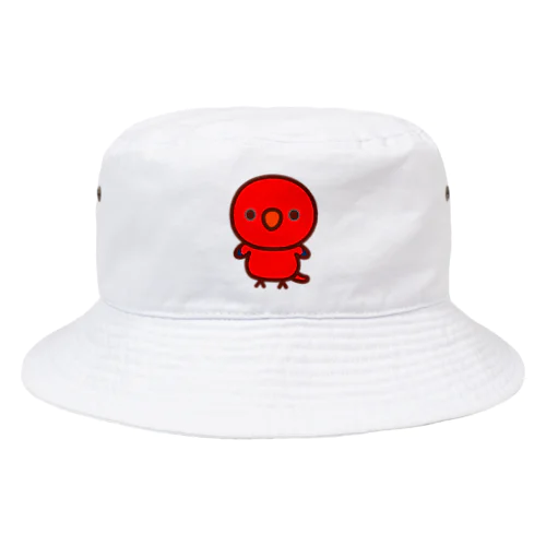 ヒインコ Bucket Hat