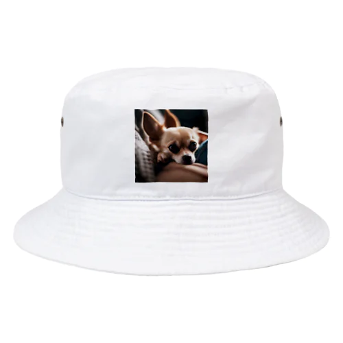 飼い主の足元にくっついているチワワ Bucket Hat