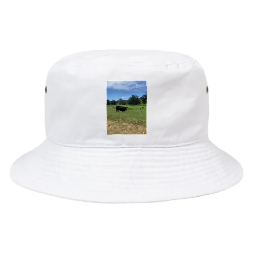 Farm Bucket Hat