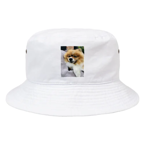 ポメラニアンのアリスくん Bucket Hat