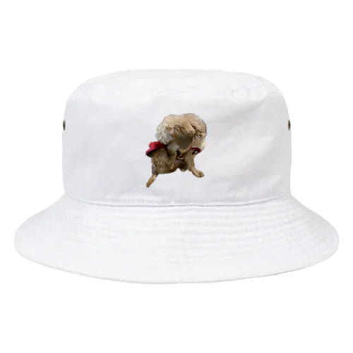 犬　ガジガジ Bucket Hat