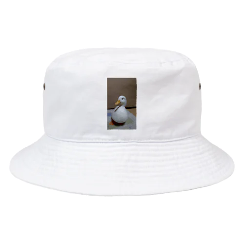 ジョジョくんと愉快な仲間たち Bucket Hat