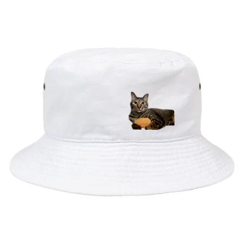 『猫に小判』オレはニャン蔵 Bucket Hat