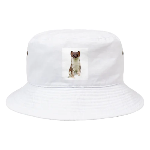 オコジョくん Bucket Hat