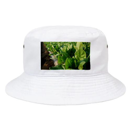 ほうれん草 Bucket Hat