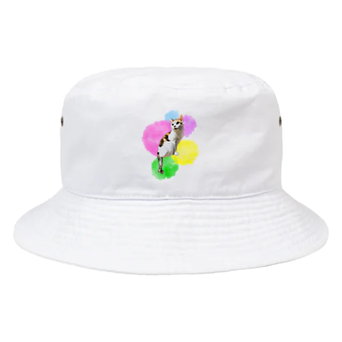 猫の恋 Bucket Hat