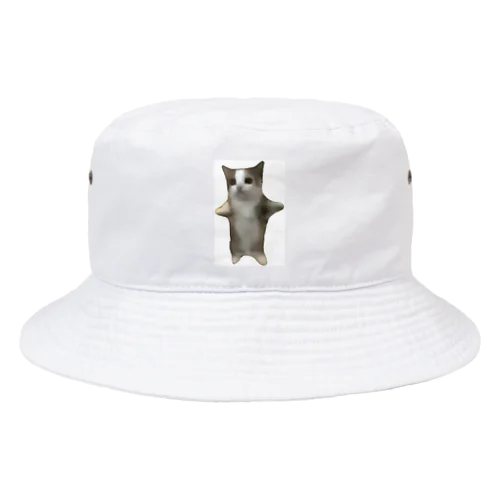 今話題の猫ミーム！ Bucket Hat