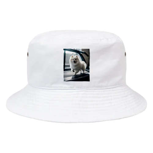 ルームランナーで走るポメラニアン Bucket Hat