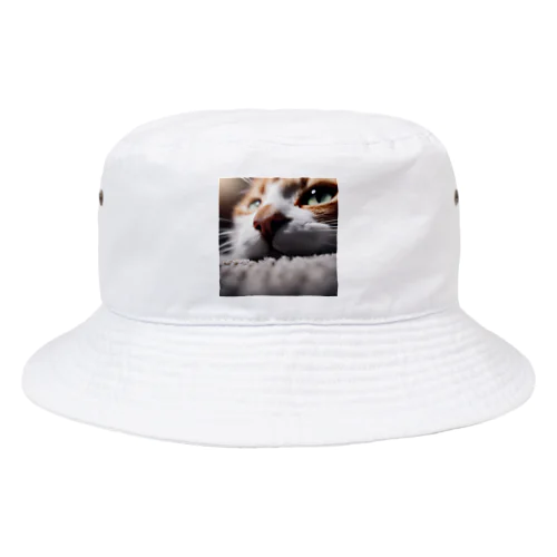 カーペットでごろんとする猫 Bucket Hat