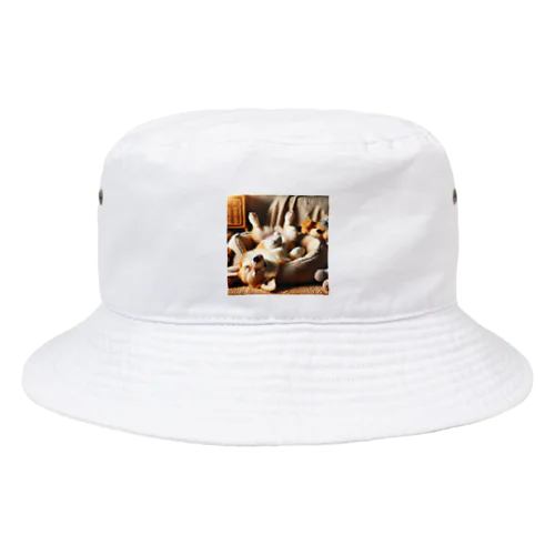 寝相の悪いコーギー Bucket Hat