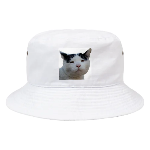 ブサかわ猫　ベン Bucket Hat