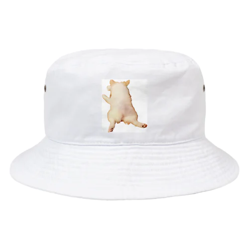 今日も元気なハオchanのチャームポイント Bucket Hat