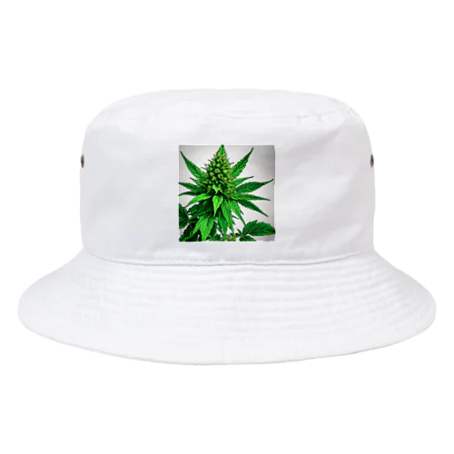 グリーンクラック Bucket Hat