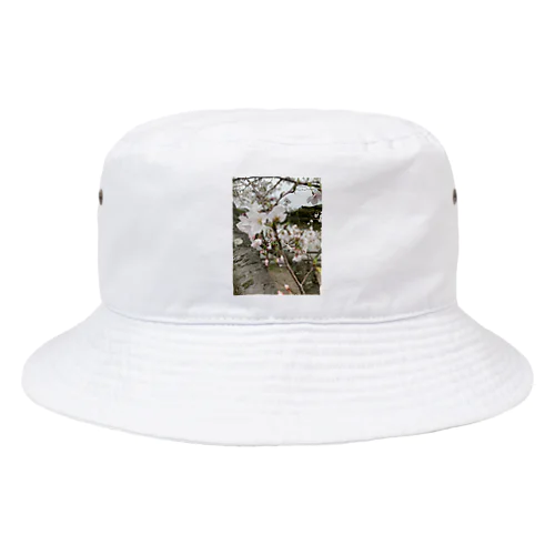 春の顔サクラ Bucket Hat