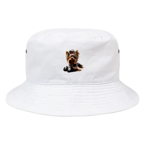 ヨークシャーテリア　ドックパークボクシング Bucket Hat