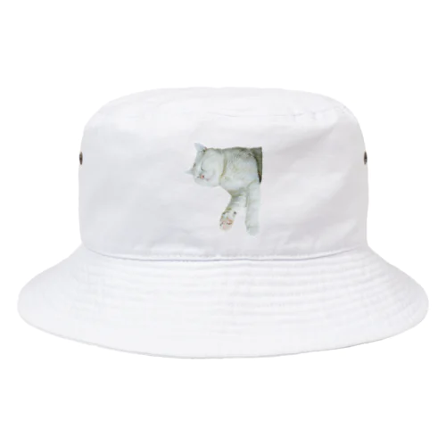 きいちゃんすやすやグッズ Bucket Hat