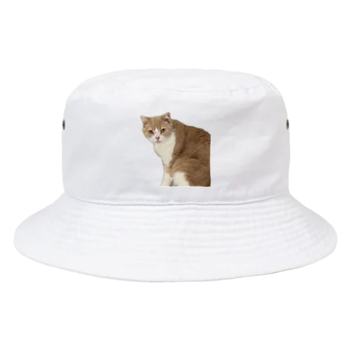 マシロくん猫グッズ Bucket Hat