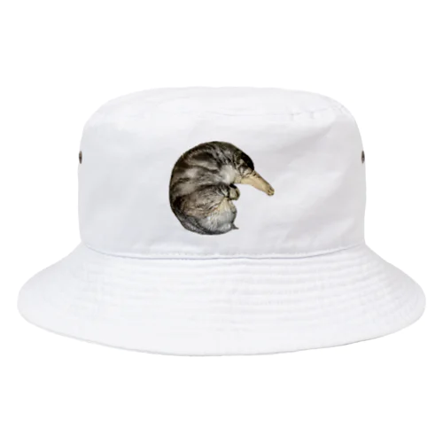 茹でられたエビみたいなとらと Bucket Hat