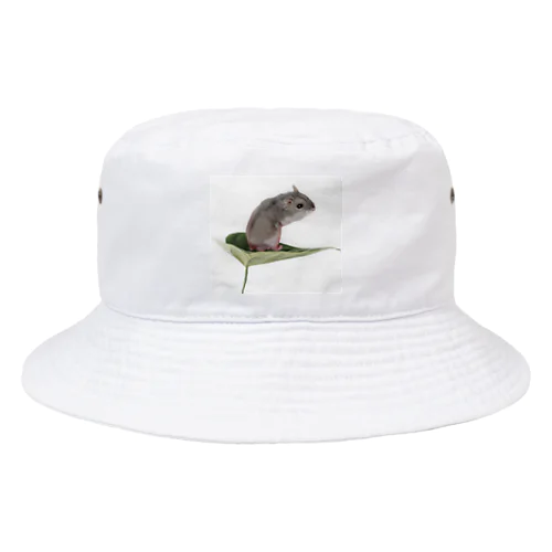 Potet_life Bucket Hat