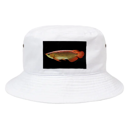 アジアアロワナ グッズ Bucket Hat