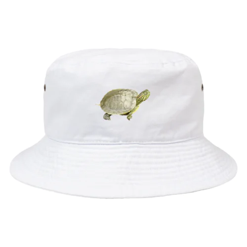 こがめ Bucket Hat