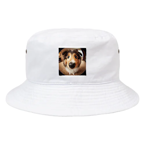 collie Bucket Hat