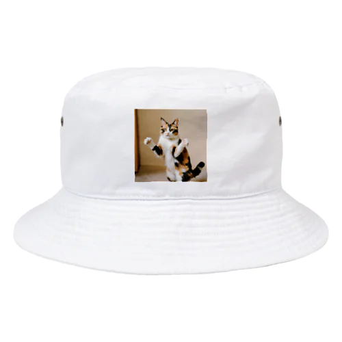 三毛猫 Bucket Hat