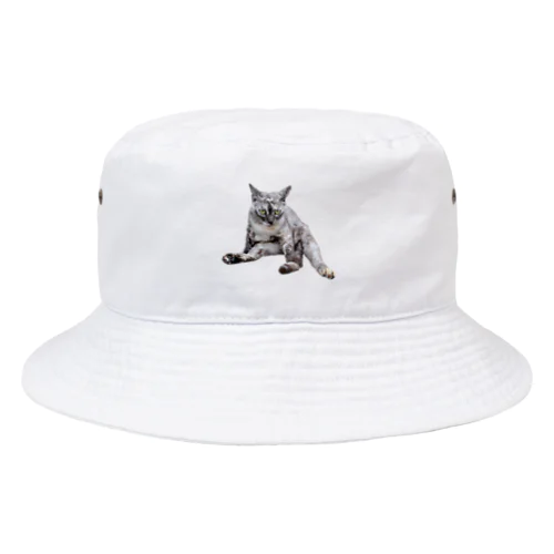 ガン飛ばし猫（実写） Bucket Hat