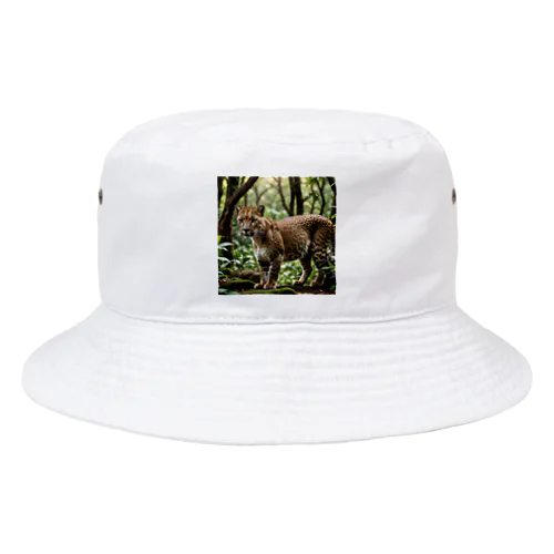 ジャングルを歩くヒョウ Bucket Hat