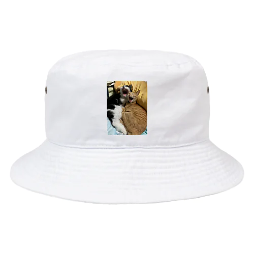 キュートな猫猫あくび Bucket Hat