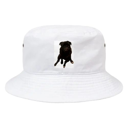 パグ Bucket Hat