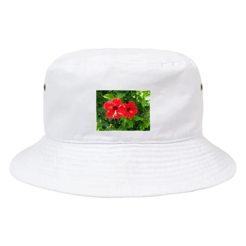 南国　ハイビスカス　パワースポット Bucket Hat