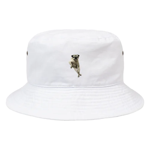 えらそうなパグ Bucket Hat