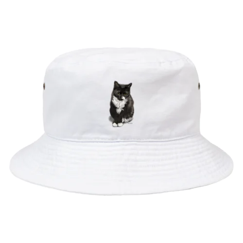 くつした猫のくろみつ Bucket Hat