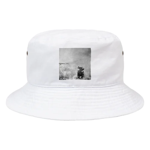 海辺を散歩するチワワ Bucket Hat