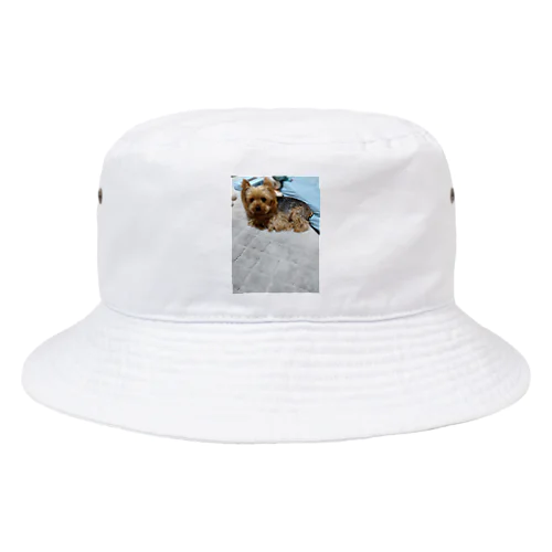 アレンくん Bucket Hat