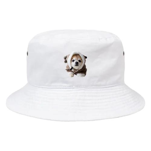 トナカイチワワ Bucket Hat