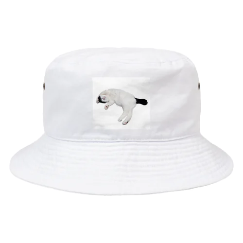 尻尾が短い保護猫 たぬちゃん Bucket Hat