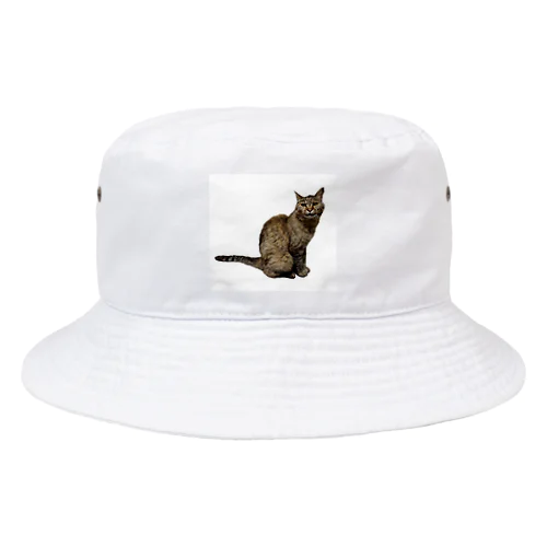 保護猫 ポポちゃん Bucket Hat