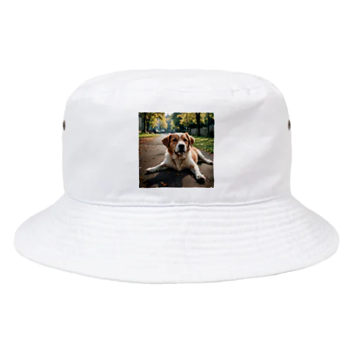 足を広げて座る犬 Bucket Hat