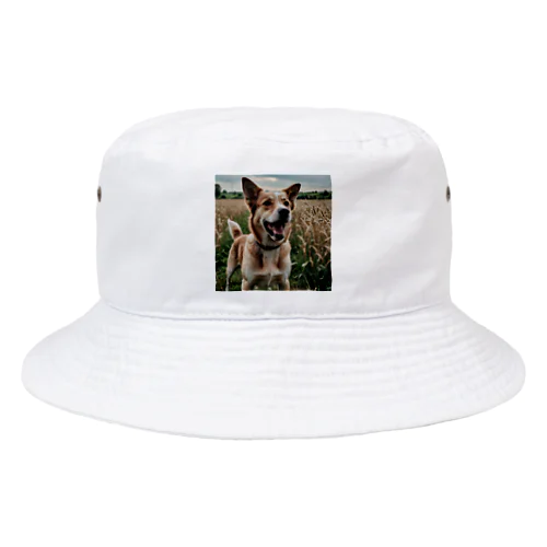 畑で微笑む犬 dog smailing in the ground Bucket Hat