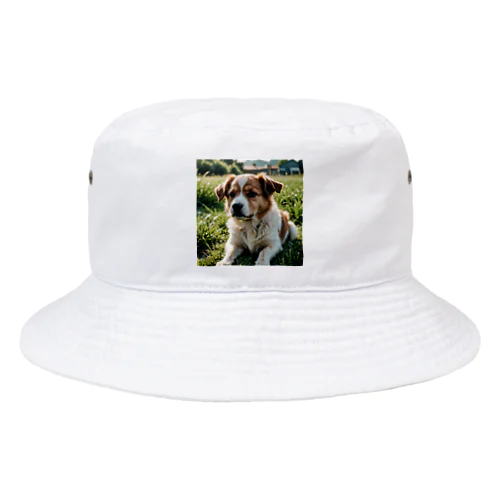 草むらで斜めを見つめる犬 dog looking for the anywhere Bucket Hat