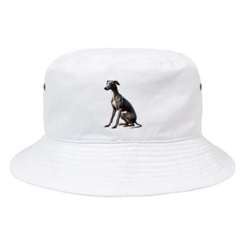 イタリアン グレイハウンド 02 Bucket Hat