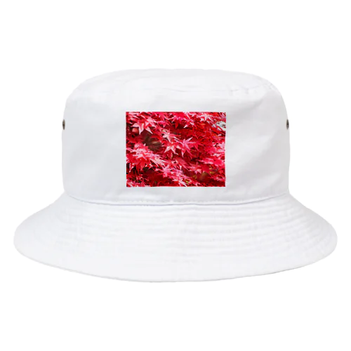 鮮やかなもみじ Bucket Hat