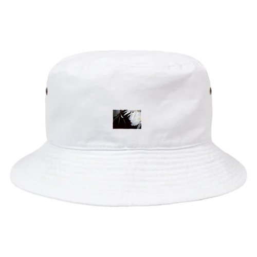 げっかびじん Bucket Hat