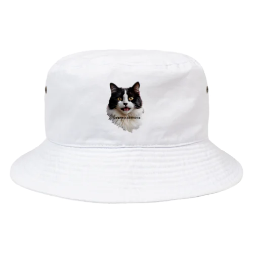 ハロウィンねこちゃんアイコン Bucket Hat
