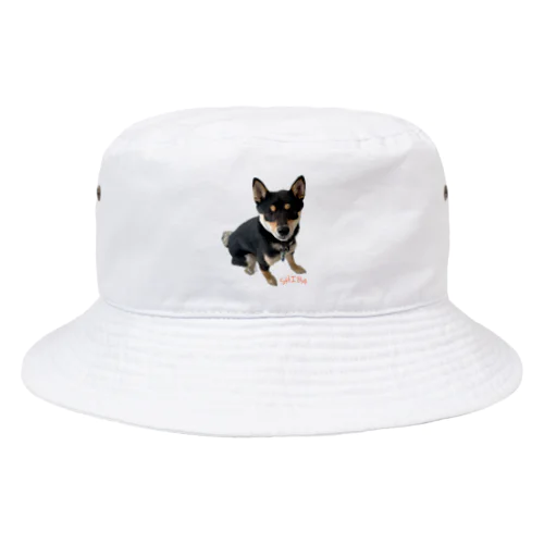🐾豆柴BOY🐾 世界中で愛される柴犬　1歳 Bucket Hat